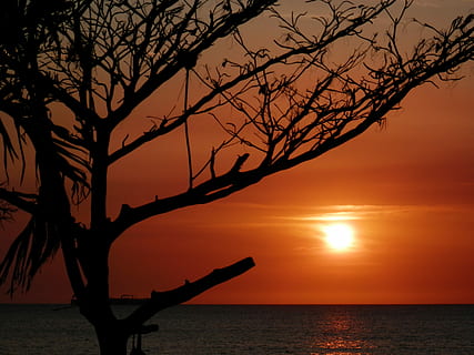 tramonto, santa marta, mare, controluce, silhouette, Paesaggi, bellezza nella natura, acqua, cielo, scenics - natura, colore arancione, orizzonte, albero, orizzonte sull'acqua, scena tranquilla, sole, la tranquillità, albero nudo, natura, ramo, idilliaco, nessuno, all'aperto, 4K, CC0, dominio pubblico, privo di copyright