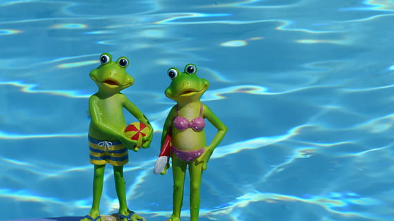 frø, sommer, vand, dekorative elementer, ferie, pool, svømmepøl, svømning, legetøj, dyr, repræsentation, ingen mennesker, dyr repræsentation, dyre temaer, natur, blå, grøn farve, hav, undervands-, dag, afspejling, hvirveldyr, flydende, udendørs, flyder på vandet, oppustelige, marine, 4K, CC0, offentligt domæne, royaltyfrie