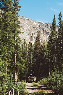 negre, vehicle, muntanya, gris, envoltat, verd, arbres davanters, durant el dia, camioneta, camió, bosc, arbre, pista, a l'aire lliure, naturalesa, paisatge, escenics, Muntanyes rocoses, Serra, cap gent, rock - object, pi, dia, planta, creixement, terra, bellesa a la natura, cel, escena tranquil·la, transport, tranquil·litat, manera de transport, automòbil, arquitectura, escenics - natura, color verd, 5K, CC0, domini públic, lliure de regalies