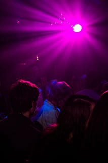 oameni, interior, cameră, roz, disco light, partid, atmosfera, iluminat, dans, mergem afara, discotecă, Violet, arta culturii și divertismentului, bucurie, muzică, noapte, grup de oameni, viata de noapte, mulţimea, echipamente de iluminat, oameni adevărați, bărbați, grup mare de oameni, eveniment, adult, lumină - fenomen natural, Club de noapte, în interior, Activitatea de agrement, petrecere - eveniment social, ușoară, concert de muzică populară, concert, disco dans, clubbing, disco lumini, lumina stadiului, 4K, CC0, domeniu public, fără drepturi de autor