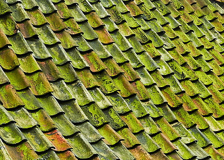 close-up foto, groen, schindeldak, groen pannendak, dak, tegel, patroon, structuur, achtergrond, volledig kader, achtergronden, herhaling, geen mensen, groene kleur, dag, ontwerp, getextureerde, hoge hoekmening, buitenshuis, natuur, detailopname, grote groep objecten, zonlicht, overvloed, vorm, ingebouwde structuur, architectuur, metaal, 2K, CC0, publiek domein, royaltyvrij