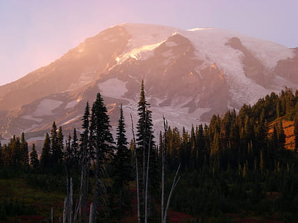 mt, rainier washington, auringonlasku, Puut, lumi, vuori, puu, kauneus luonnossa, kasvi, maisemat - luonto, maa, metsä, rauhallinen kohtaus, luonto, ympäristö, talvi-, mänty, taivas, ei ihmisiä, kylmä lämpötila, tyyneys, havupuu, ei-kaupunkikuvia, lumiset vuoret, ulkona, mäntymetsät, vuorenhuippu, ikivihreä puu, 2K, CC0, public domain, rojaltivapaa