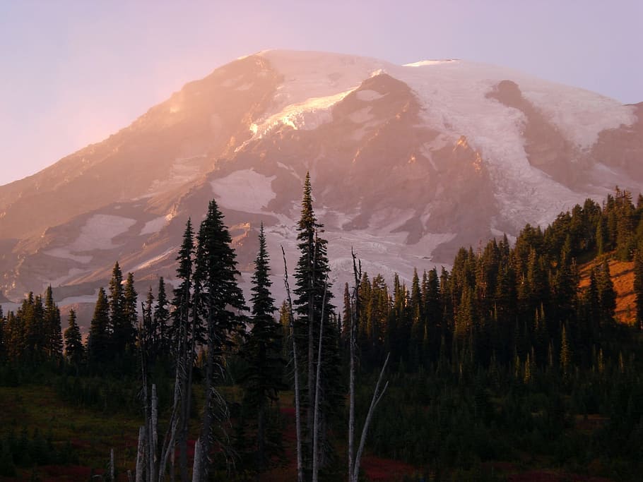 mt, Washington més plujós, posta de sol, arbres, neu, muntanya, arbre, bellesa a la natura, planta, escenics - natura, terra, bosc, escena tranquil·la, naturalesa, medi ambient, hivern, pi, cel, cap gent, temperatura de fred, tranquil·litat, arbre de coníferes, escena no urbana, muntanya nevada, a l'aire lliure, bosc de pi, cim de muntanya, arbre de fulla perenne, 2K