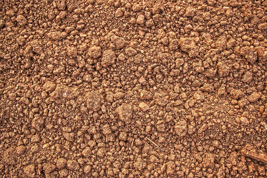 sense títol, prat, camp, Bauer, terra, naturalesa, paisatge, verd, herba, núvols, camps, bosc, cereals, tardor, estiu, cel d’estiu, lluny, primavera, visió, al matí, raig de sol, roselles, arbre, morgenstimmung, còdols, sorra, marc complet, fons, cap gent, abundància, vista d’angle alt, dia, gran grup d'objectes, textura, menjar i beguda, primer pla, pedra - objecte, menjar, marró, a l'aire lliure, sòlid, frescor, patró, llum solar, 8K