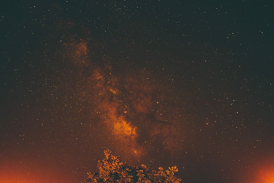 vista de galàxia, cel nocturn, arbre, lletós, manera galàxia, fons, estrella, cel, nit, Via Làctea, estrellat, taronja, daurat, cel net, naturalesa, constel · lació, astronomia, estrella - espai, espai, bellesa a la natura, camp estel·lar, escenics - natura, tranquil·litat, galàxia, cap gent, escena tranquil·la, vista d’angle baix, idíl·lic, espai i astronomia, infinit, a l'aire lliure, 4K