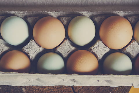 oua de pui, alb, maro, ouă, ou, model, alimente, eggshell, pui, mancare si bautura, mâncat sănătos, prospeţime, bunăstare, cofraj de oua, nici o persoana, în interior, mancare cruda, recipient, natură moartă, a închide, fragilitate, ladă, vulnerabilitate, consecutiv, grup de obiecte, unul langa altul, cutie de carton, tavă, 2K, CC0, domeniu public, fără drepturi de autor