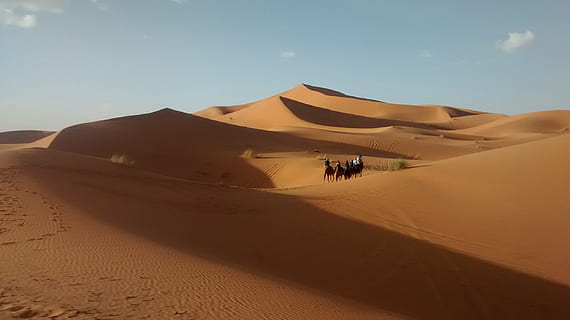desert, marroquí, dunes, duna de sorra, sorra, sec, desert del Sàhara, naturalesa, Àfrica, clima àrid, dunes erg chebbi, paisatge, nord d'Àfrica, terra, cel, escenics - natura, clima, escena no urbana, medi ambient, dia, viatjar, destinacions de viatge, gent, remot, escena tranquil·la, tranquil·litat, llum solar, a l'aire lliure, 2K, CC0, domini públic, lliure de regalies