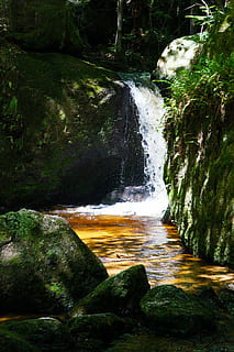 landskap, natur, klam, foss, strøm, skog, elv, vann, tre, utendørs, grønn farge, mose, rock-objekt, rennende vann, bevegelse, skjønnhet i naturen, stein, naturskjønnhet - natur, lang eksponering, fast, sløret bevegelse, ingen folk, dag, anlegg, strømmer, kraft i naturen, regnskog, fallende vann, 1080P, CC0, offentlig domene, opphavsrett gratis