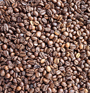 kaffebønne mye, kaffe, bakgrunn, kaffebønner, pause, koffein, aroma, spennende, kurve, drikke, Våkn opp, frokost, espresso, kjøkken, salg, mørk, mat og Drikke, friskhet, mat, brun, full ramme, kaffe - drikke, stor gruppe gjenstander, overflod, stekt kaffebønne, ingen folk, innendørs, stilleben, nærbilde, høy vinkel visning, bakt, gjentakelse, heap, 2K, CC0, offentlig domene, opphavsrett gratis