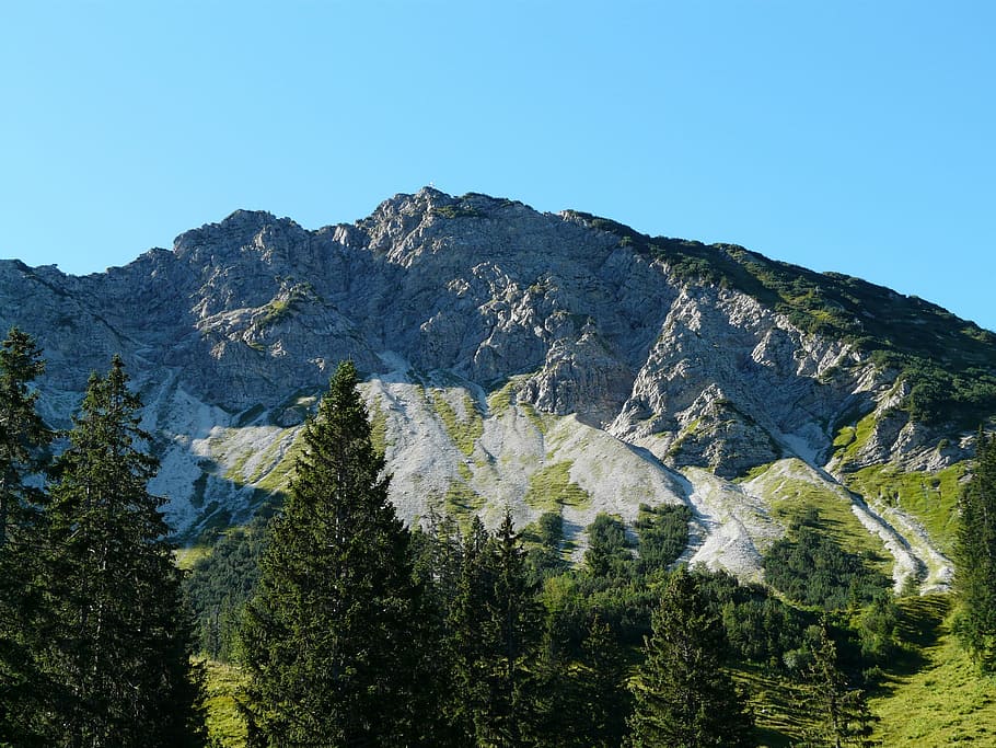 iseler, muntanya, alpí, allgäu, senderisme, hausberg, oberjoch, mal hindelang, kuehgundgruppe, pi, Serra, bosc, escenics, blau, cel, bellesa a la natura, arbre, cel clar, planta, escenics - natura, escena tranquil·la, tranquil·litat, vista d’angle baix, naturalesa, color verd, escena no urbana, rock, cap gent, dia, idíl·lic, creixement, rock - object, formació, a l'aire lliure, cim de muntanya, arbre de coníferes, 2K