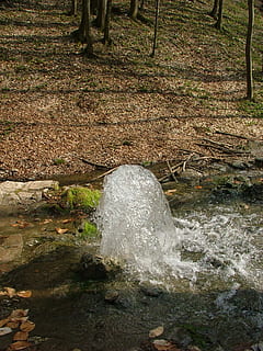 fonte, primavera, acqua, freschezza, foresta, natura, faggio hg, pietra rossa, terra, giorno, pianta, nessuno, solido, albero, campo, roccia, roccia - oggetto, crescita, la tranquillità, vista dall'alto, pietra, all'aperto, bellezza nella natura, movimento, acqua corrente, 1080P, CC0, dominio pubblico, privo di copyright