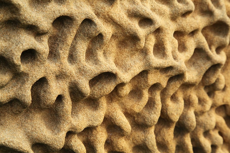 resum, fons, corbes, erosionat, erosió, geologia, naturalesa, patró, rock, sorra, gres, pedra, estructura, textura, paret, onada, groc, primer pla, marc complet, cap gent, marró, terra, platja, a l'aire lliure, patró natural, animal, aspre, dia, repetició, beix, vista d’angle alt, llum solar, 5K