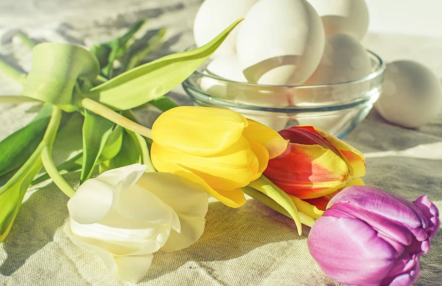 vier, Blumen in verschiedenen Farben, Knospen, braun, Oberfläche, Ei, Ostern, Blume, Desktop, gesund, Farbe, Pastell-, Nahansicht, Lebensmittel, Gesundheit, hell, traditionell, Frische, Tulpe, Frühling, frisch, Urlaub, Grün, Jahreszeit, Dekoration, Tabelle, bunt, glücklich, festlich, Feier, Jahrgang, blühende Pflanze, Pflanze, Schönheit in der Natur, Natur, Blütenblatt, keine Leute, Verletzlichkeit, Rose, Zerbrechlichkeit, Stillleben, mehrfarbig, Blütenstand, Pflanzenteil, Blatt, Gelb, Blütenkopf, 4K