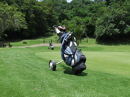 Blau, Weiß, Golftasche, Golf, Kurs, Golfen, Grün, Sommer-, Pflanze, Sport, Gras, Baum, grüne Farbe, Freizeitbeschäftigung, echte Menschen, Golfplatz, Aktivität, Natur, Tag, Wachstum, Männer, Sonnenlicht, Menschen, Land, Wochenendaktivitäten, Lebensstile, draußen, Grün - Golfplatz, 2K, CC0, gemeinfrei, lizenzfrei