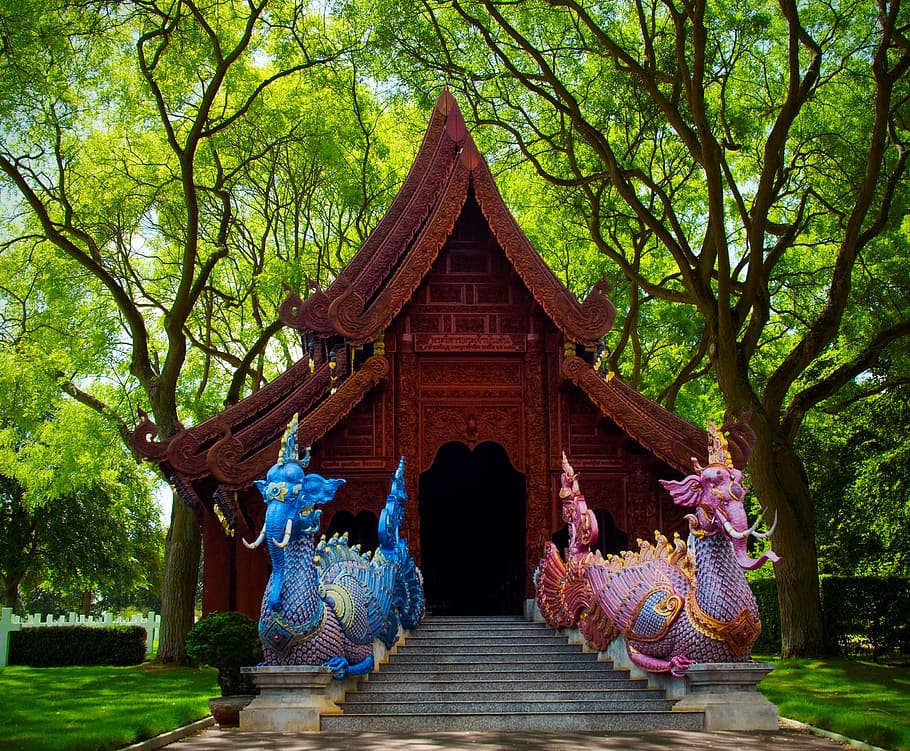 omgivet, grøn, blade træer, kinesisk tempel, grønt blad, træer, mytiske væsener, tempel, elefanter, trække på, Skov, Thailand, Asien, Fjernøsten, udendørs, ingen mennesker, træ, dag, natur, arkitektur, plante, bygget struktur, tro, religion, sted for tilbedelse, spiritualitet, bygning, skulptur, vækst, repræsentation, Kunst og håndværk, statue, 2K