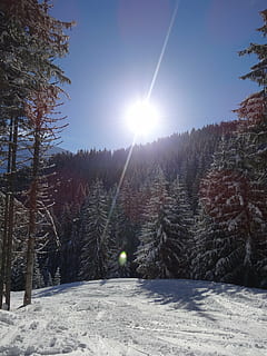 Sonne, Strahlen, Landschaftsschnee, Winter, Berg, Alpen, Schnee, kalte Temperatur, Baum, Pflanze, Himmel, Sonnenlicht, Sonnenstrahl, Schönheit in der Natur, Natur, Linseneffekt, Ruhe, Land, ruhige Szene, gefroren, Szenen - Natur, keine Leute, Abdeckung, draußen, hell, Nadelbaum, schneebedeckter Berg, 4K, CC0, gemeinfrei, lizenzfrei