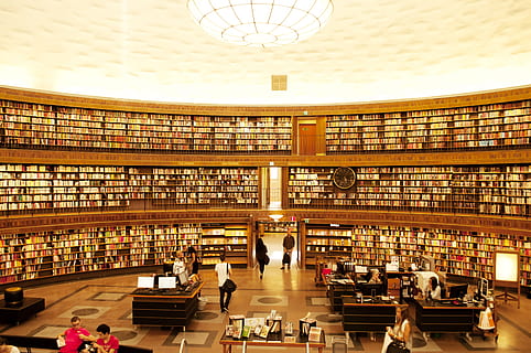 hylde, bibliotek, indendørs, inde, arkitektur, lager, reol, Stockholm, sverige, cirkulær, stor, kæmpe stor, uddannelse, bøger, Bestil, Information, litteratur, indre, gruppe af mennesker, bogreol, offentliggørelse, rigtige mennesker, Kvinder, menneskemængde, stor gruppe mennesker, bord, voksen, bygget struktur, herrer, loft, moderne, studere, 4K, CC0, offentligt domæne, royaltyfrie