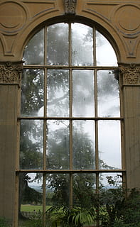 ventana, cristal, frío, adentro, día, árbol, nube - cielo, arquitectura, estructura construida, nadie, transparente, material de vidrio, planta, arco, naturaleza, edificio, cielo, reflexión, vista de ángulo bajo, crecimiento, marco de la ventana, techo, 2K, CC0, dominio público, libre de derechos