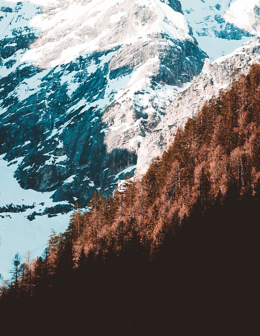 alberi, nevoso, pendio di montagna, ghiaccio, capped, montagna, foresta, albero, la neve, bosco, guardando giù, inverno, freddo, ombra, sole, natura, paesaggio, all'aperto, avventura, viaggio, sfondo, Italia, foglia, golde, arancia, bellezza nella natura, scenics - natura, temperatura fredda, pianta, la tranquillità, scena tranquilla, nessuno, giorno, montagna innevata, acqua, crescita, cielo, scena non urbana, picco di montagna, 5K