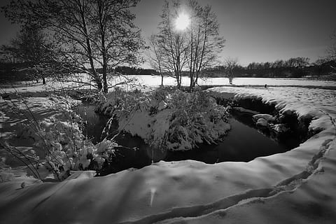 træ, farvande, flod, afspejling, landskab, sort og hvid fotografering, bach, baglygte, sne, kold temperatur, vinter, plante, ro, skønhed i naturen, vand, rolig scene, scenics - natur, natur, Frosset, ingen mennesker, sø, himmel, dag, ikke-urbane scene, sollys, udendørs, 5K, CC0, offentligt domæne, royaltyfrie