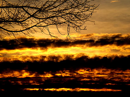 solnedgang, sol, sky, brann, rød, sol, Sky, himmel, Brann, rød, svart, natur, bare tre, skjønnhet i naturen, scenics, rolig scene, sky - himmel, oransje farge, naturskjønnhet - natur, silhouette, tre, ro, anlegg, gren, ingen folk, idylliske, utendørs, dramatisk himmel, miljø, ikke-urbane scene, 4K, CC0, offentlig domene, opphavsrett gratis