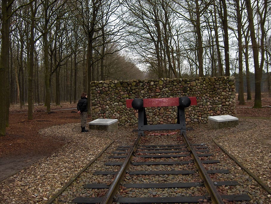 westerbork, drenthe, camp de concentració, arbre, planta, transport per ferrocarril, pista, arbre nu, vies del ferrocarril, persones reals, naturalesa, dia, transport, tardor, seient, terra, activitat d'oci, a l'aire lliure, manera de transport, dones, bosc, assegut, tronc, canvi, 2K