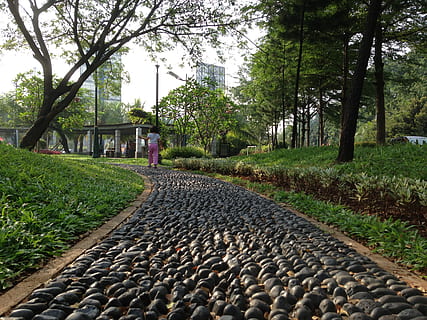 pedra, caminho, rastrear, trilha, parque, caminhando, passarela, caminhar, exterior, viagem, rochas, rural, ao ar livre, caminhada, arvores, madeiras, floresta, urbano, natureza, paisagismo, tranquilo, árvore, cor verde, park - homem fez espaço, ninguém, transporte, ferrovia, dia, focar em primeiro plano, plantar, o caminho a seguir, direção, crescimento, arquitetura, sólido, beleza na natureza, pedra - objeto, grama, Rocha, estrutura construída, terra, cascalho, 2K, CC0, domínio público, royalty free