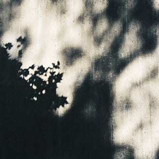 hormigón, al aire libre, perspectiva, oscuridad, luz del sol, antecedentes, resumen, sombra, nadie, naturaleza, día, fotograma completo, modelo, árbol, planta, texturizado, vista de alto ángulo, pared - característica de la construcción, de cerca, ventana, centrarse en la sombra, belleza en la naturaleza, 1080P, CC0, dominio público, libre de derechos