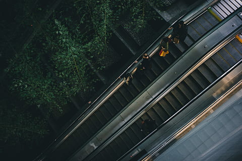 quattro, persona, in piedi, scala mobile, persone su scala mobile, vista aerea, albero, passaggi, ascensore, trasporto ferroviario, mezzi di trasporto, traccia, ferrovia, modo di trasporto, treno, trasporto pubblico, vista dall'alto, treno - veicolo, pianta, natura, architettura, connessione, all'aperto, movimento, struttura costruita, giorno, viaggio, in movimento, 5K, CC0, dominio pubblico, privo di copyright