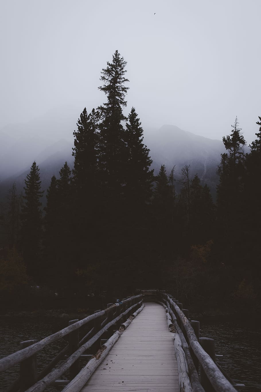 Marrone, passerella, collocato, foresta, bianca, di legno, ponte, giorno, buio, nebbia, nube, sfondo, paesaggio, lunatico, Alberta, Canada, montagna, albero, lago, pianta, direzione, bellezza nella natura, la strada davanti, scenics - natura, natura, cielo, scena tranquilla, la tranquillità, nessuno, scena non urbana, legno - materiale, terra, crescita, temperatura fredda, ambiente, all'aperto, prospettiva decrescente, 5K