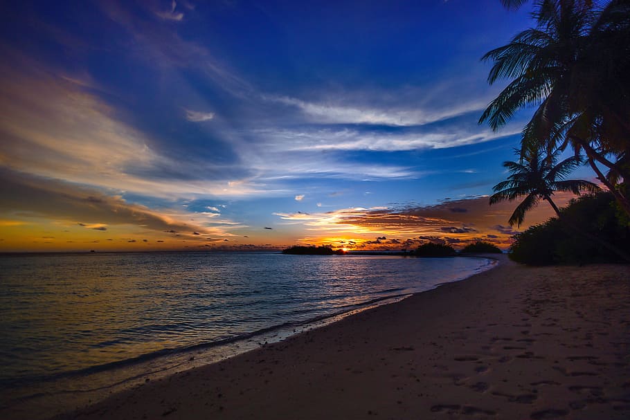 mar, naturalesa, cel, posta de sol, platja, calma, núvols, passos, idíl·lic, oceà, palmeres, pacífica, tranquil, sorra, escènic, vora del mar, silueta, sortida del sol, arbres, tropical, aigua, terra, escenics - natura, bellesa a la natura, Palmera, tranquil·litat, clima tropical, escena tranquil·la, arbre, núvol - cel, horitzó, horitzó sobre l’aigua, cap gent, a l'aire lliure, palmera de coco, arbre tropical, cel romàntic, 4K