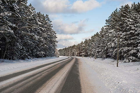 vintervej, landskab, sne, vinter, natur, træ, koldtemperatur, vej, landlige scene, Skov, udendørs, ikke-urbane scene, scenics, ingen mennesker, is, sæson, vejr, Frosset, hvid, frost, kold temperatur, plante, transportmidler, retning, vejen frem, sky - himmel, himmel, skønhed i naturen, scenics - natur, rolig scene, faldende perspektiv, ro, jord, fyrretræ, nåletræ, fyrreskov, 4K, CC0, offentligt domæne, royaltyfrie