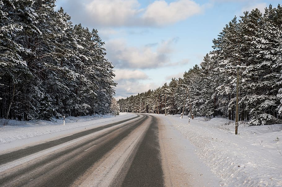 vintervej, landskab, sne, vinter, natur, træ, koldtemperatur, vej, landlige scene, Skov, udendørs, ikke-urbane scene, scenics, ingen mennesker, is, sæson, vejr, Frosset, hvid, frost, kold temperatur, plante, transportmidler, retning, vejen frem, sky - himmel, himmel, skønhed i naturen, scenics - natur, rolig scene, faldende perspektiv, ro, jord, fyrretræ, nåletræ, fyrreskov, 4K