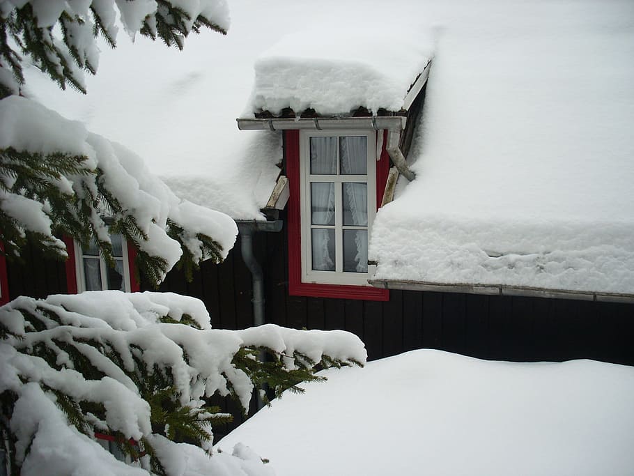 sne, vindue, vinter, harpiks, is, snedækket, Frosset, vinduesrammer, vinterblast, ferie, outlook, kold, frost, vinterlige, gran dækket af sne, kold temperatur, vejr, sner, udendørs, hvid farve, natur, dækker, arkitektur, dag, bygning udvendig, bygget struktur, ingen mennesker, miljø, skønhed i naturen, hus, bygning, plante, snedrive, ekstremt vejr, snedækket bjerg, istap, 2K