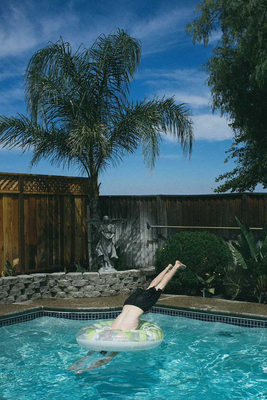 Person, Tauchen, Boden Pool, Blau, Himmel, Mann, Schwimmen, Schwimmbad, tagsüber, Palme, Baum, Wasser, klar, Sonnenlicht, Schatten, Pflanze, Grün, Hitze, Junge, Kerl, Kumpel, angenehm, Vergnügen, Natur, Tag, Ufergegend, eine Person, echte Menschen, Freizeitbeschäftigung, draußen, Männer, Lebensstile, Bewegung, tropisches Klima, 2K