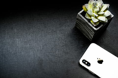 เงิน iphone x, ข้าง, ฉ่ำ, กระถางต้นไม้, ตาราง, iPhone, โทรศัพท์มือถือ, iphone x, แอปเปิ้ล, เทคโนโลยี, whatsapp, มาร์ทโฟน, ทันสมัย, การสื่อสาร, ข้อมูล, โทรศัพท์, ปลูก, ต้นกระบองเพชร, เคาน์เตอร์, ค่าเริ่มต้น, ในบ้าน, ไม่มีคน, สีดำ, มุมมองมุมสูง, พื้นที่การคัดลอก, ใกล้ชิด, ดอกไม้, ยังมีชีวิตอยู่, สตูดิโอยิง, โอกาส, อารมณ์, ไม้ดอก, ความสด, พื้นหลังสีดำ, อาหาร, อาหารและเครื่องดื่ม, โชค, ดอกกุหลาบ, 4K, CC0, โดเมนสาธารณะ, ค่าลิขสิทธิ์ฟรี