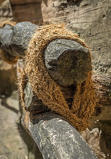 Railing, Rope, Jungle, Background, Wood, nature, dry wood, dry, tree, wooden structure, no people, day, close-up, outdoors, animal themes, focus on foreground, textured, old, sunlight, wood - material, representation, brown, high angle view, rough, weathered, pattern, plant, selective focus, solid, 5K, CC0, public domain, royalty free