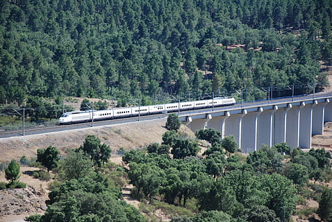 bifurcació de mines, tren, infraestructura, arbre, planta, transport, estructura construïda, pont, connexió, pont - estructura feta per l'home, arquitectura, creixement, naturalesa, color verd, dia, bosc, cap gent, vista d’angle alt, fullatge, exuberant fullatge, carretera, muntanya, bellesa a la natura, a l'aire lliure, 4K, CC0, domini públic, lliure de regalies