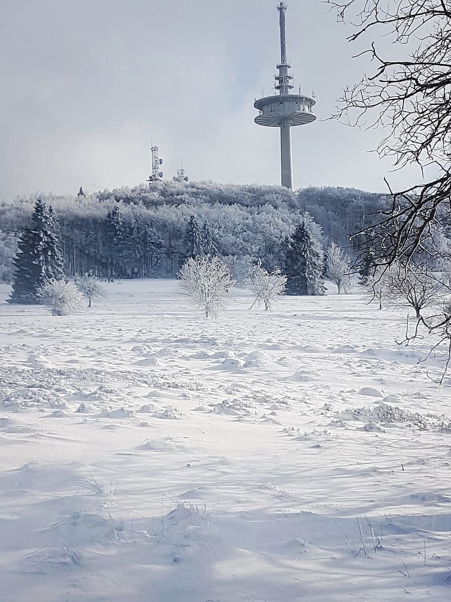 hivern, neu, fred, paisatge, Blancaneus, temperatura de fred, arbre, arquitectura, naturalesa, planta, cel, estructura construïda, dia, cap gent, congelat, cobertura, torre, destinacions de viatge, turisme, escenics - natura, Color blanc, bellesa a la natura, a l'aire lliure, nevar, 1080P