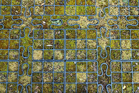Blau, Metallrahmen, Grün, Gras, Modul, Aktie, Artikel, waschen, Mosaik-, Fotomosaik, Puzzle, Rasengitter, eilen, Gitter, Festsetzung, Bretter, Garten, Gartengestaltung, Design, gartendeko, Gartenarchitektur, Gartendekoration, unter Tage, Boden, Muster, Fliese, Vollbild, Hintergründe, keine Leute, Tag, gebaute Struktur, die Architektur, texturiert, Wandbau - Funktion, Metall, Wand, Nahansicht, Wiederholung, draußen, Bodenbelag, gestalten, Blumenmuster, 4K, CC0, gemeinfrei, lizenzfrei