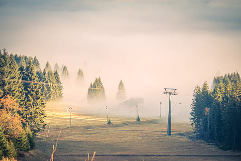 mist, wolken, bomen, kabelbaan, licht, landschap, natuur, hemel, weide, de skipiste, herfst, boom, fabriek, schoonheid in de natuur, milieu, land-, kalmte, scenics - natuur, rustige scène, zonsopgang - ochtendgloren, geen mensen, zonlicht, zon, veld-, buitenshuis, 5K, CC0, publiek domein, royaltyvrij