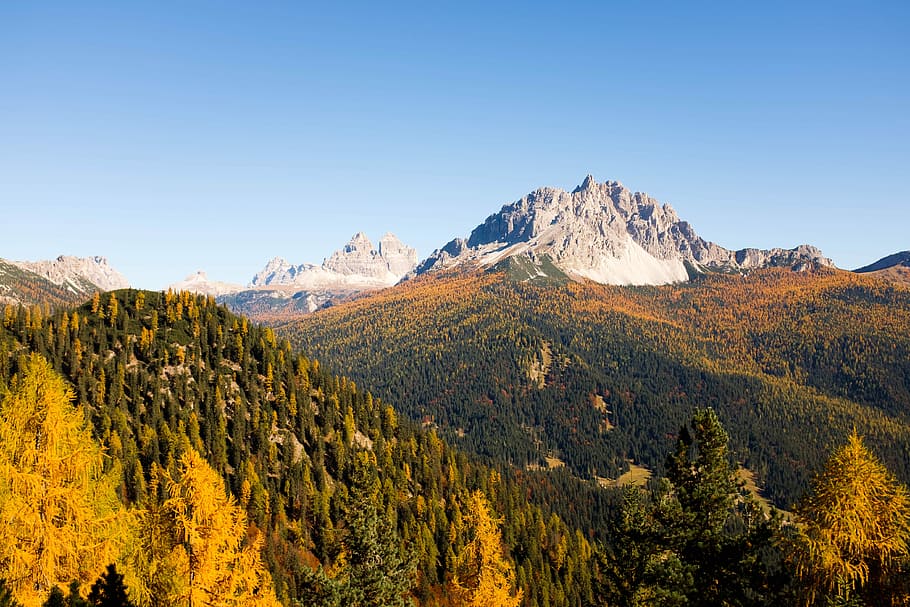 alp mountain, bosc, fotografia de paisatge, muntanya, arbre, rock, tardor, caure, fullatge, pins, paisatge, naturalesa, corapi, Itàlia, passeig de fotos, escenics - natura, medi ambient, cel, bellesa a la natura, Serra, neu, planta, temperatura de fred, hivern, terra, muntanya nevada, destinacions de viatge, cel clar, cim de muntanya, cap gent, arbre de coníferes, pi, a l'aire lliure, bosc de pi, 4K