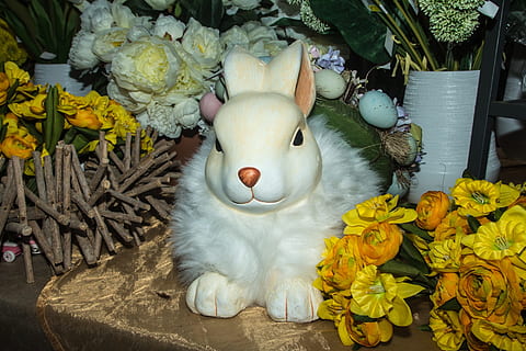 Pasqua, conill de Pasqua, llebre, primavera, figura, decoració de pasqua, planta amb flors, flor, representació animal, planta, celebració, representació, frescor, naturalesa, animal, festa, cap gent, conill - animal, groc, decoració, fragilitat, primer pla, vista d’angle alt, cap de flor, 1080P, CC0, domini públic, lliure de regalies