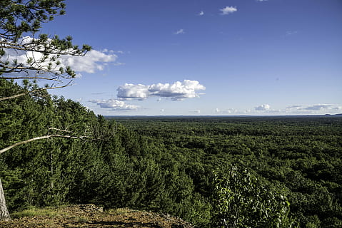 forest, levis mound, Clouds, Levis, Mound, Wisconsin, black river state forest, photos, landscape, public domain, scenic, sky, trees, United States, nature, rural Scene, scenics, outdoors, no People, tree, blue, field, agriculture, cloud - Sky, landscapes, green Color, summer, non-Urban Scene, grass, land, growth, plant, beauty in nature, environment, scenics - nature, tranquility, tranquil scene, day, mountain, woodland, pine tree, coniferous tree, plantation, pine woodland, 5K, CC0, public domain, royalty free