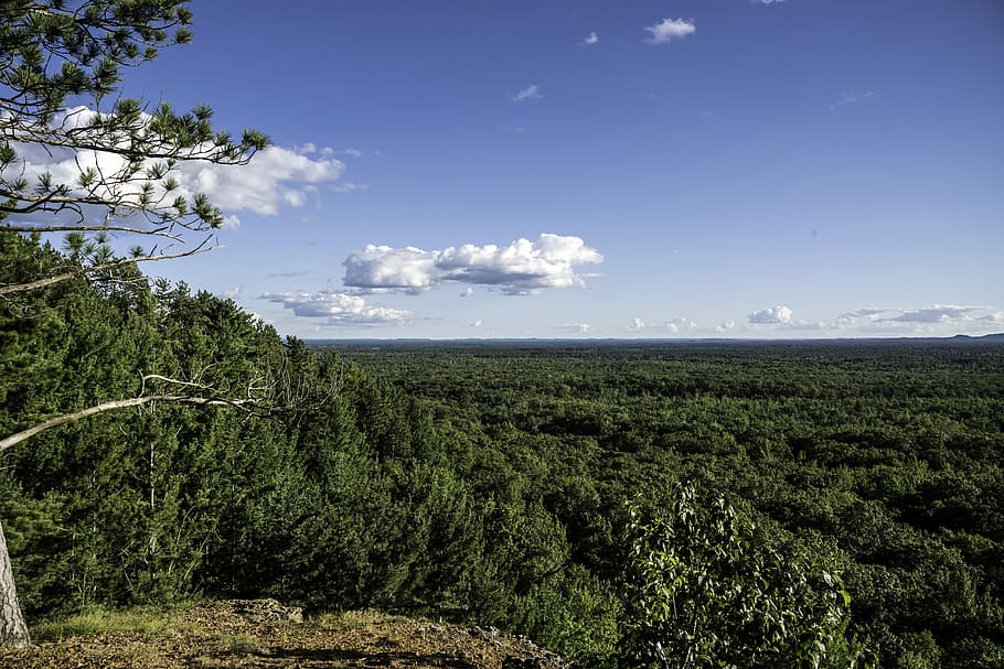 bosc, Levis Mound, núvols, levis, monticle, Wisconsin, bosc estatal del riu negre, fotografies, paisatge, domini públic, escènic, cel, arbres, Estats Units, naturalesa, escena rural, escenics, a l'aire lliure, cap gent, arbre, blau, camp, agricultura, núvol - cel, paisatges, color verd, estiu, escena no urbana, herba, terra, creixement, planta, bellesa a la natura, medi ambient, escenics - natura, tranquil·litat, escena tranquil·la, dia, muntanya, pi, arbre de coníferes, plantació, bosc de pi, 5K