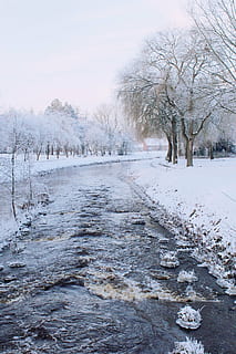 snedækket, vej, omgivet, træer, flod, vinterlige, vinter, landskab, sne, vinter magi, aftenhimmel, kold, Frosset, frost, is, vinterdag, hvid, Tyskland, isnende, sneet inde, natur, vinterdrøm, eventyr, vinterstemning, sne magi, grene, ensom, æstetisk, sne landskab, hvile, kold temperatur, træ, plante, skønhed i naturen, bare træ, scenics - natur, rolig scene, ro, hvid farve, miljø, ingen mennesker, himmel, ikke-urbane scene, jord, dag, udendørs, 1080P, CC0, offentligt domæne, royaltyfrie