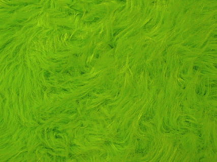 fourrure, doux, câlin, Fermer, longue, aux cheveux, dormir, cheveux longs, duveteux, Contexte, laineux, surface, néon, néon vert, brillant, vert, oreiller, décoration, couverture, vert clair, frappant, Attire l'attention, image de fond, décoratif, déco, ringard, modèle, arrière-plans, couleur verte, herbe, plein cadre, textile, texturé, personne, la laine, prise de vue en studio, à l'intérieur, la créativité, art et Artisanat, choix, nature morte, variation, abstrait, fil, couleurs éclatantes, Matériel, douceur, nettoyer, 1080P, CC0, domaine public, libre de droits