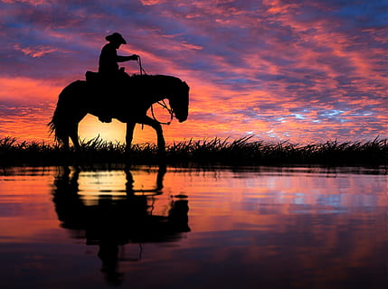 silhuet, mand, ridning, hest, Mark, solnedgang, afspejling, daggry, vand, sø, landskab, flod, natur, farvande, marine, Dam, fred, sommer, ensomhed, smuk, Sky, cowboy, græs, sol, sammensætning, store, luft, lys, skygge, himmel, pattedyr, dyre temaer, dyr, husdyr, ride, sky - himmel, et dyr, en person, dyreliv, indenlandske, skønhed i naturen, udendørs, 2K, CC0, offentligt domæne, royaltyfrie
