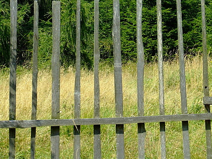 plot, prkna, Pohled, Příroda, venku, pozadí, bezpečnostní, ochrana, rostlina, bariéra, hranice, bezpečnost, nikdo, strom, den, přistát, růst, pole, zelená barva, bok po boku, krása v přírodě, les, kov, 2K, CC0, veřejná doména, bez autorských práv