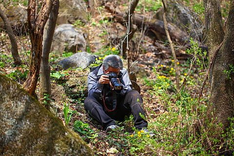 uomo, presa, foto, pianta, legna, natura, ricerca, montagna, fotografo, tiro, telecamera, Repubblica di Corea, osservata, albero, attività di svago, terra, attività, una persona, adulto, macchina fotografica - attrezzatura fotografica, avventura, temi fotografici, foresta, uomini, giorno, Fotografare, tecnologia, detenzione, vista frontale, all'aperto, uomini maturi, bosco, 5K, CC0, dominio pubblico, privo di copyright